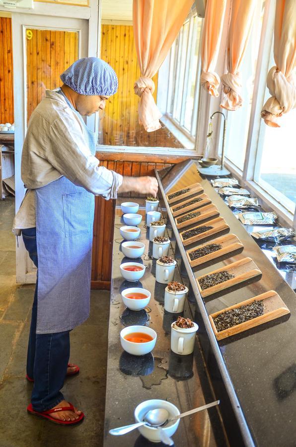 Tumsong Chiabari - The Tea Retreat Darjeeling (West Bengal) Exterior foto